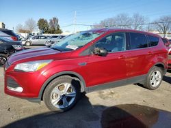 Ford Vehiculos salvage en venta: 2015 Ford Escape SE