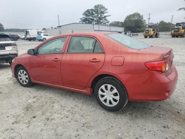 2009 Toyota Corolla Base