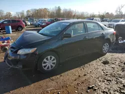 Toyota salvage cars for sale: 2013 Toyota Corolla Base