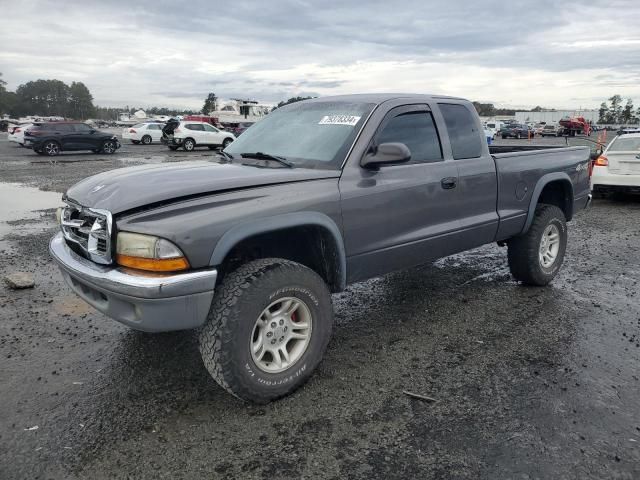 2004 Dodge Dakota SLT