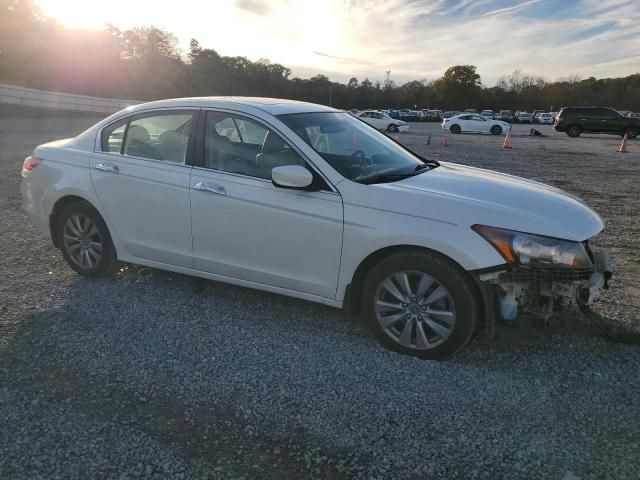 2011 Honda Accord EXL