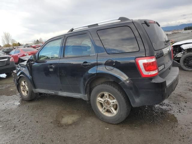 2012 Ford Escape Limited