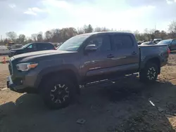 Salvage cars for sale at Chalfont, PA auction: 2018 Toyota Tacoma Double Cab