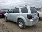 2010 Ford Escape Limited