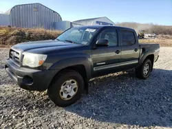 Toyota salvage cars for sale: 2010 Toyota Tacoma Double Cab