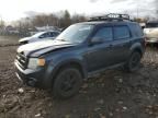 2008 Ford Escape XLS