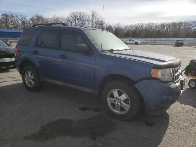 2009 Ford Escape XLT