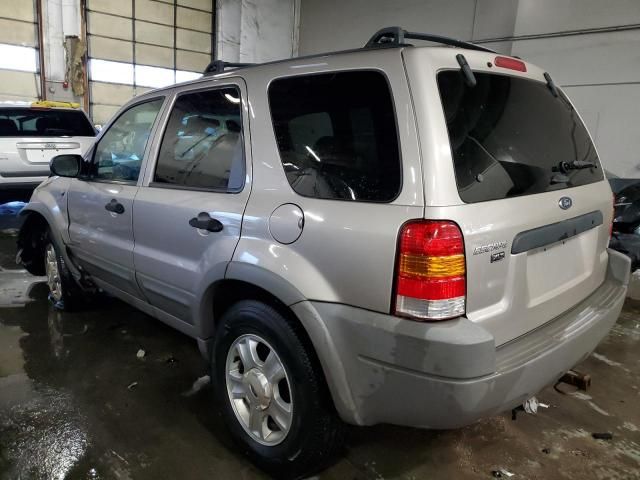 2001 Ford Escape XLT