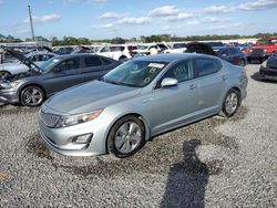 KIA Optima salvage cars for sale: 2016 KIA Optima Hybrid