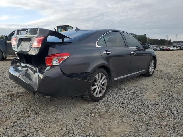 2010 Lexus ES 350