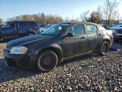 Dodge salvage cars for sale: 2010 Dodge Avenger SXT