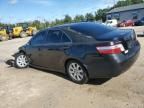 2009 Toyota Camry Hybrid