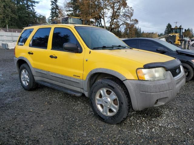 2002 Ford Escape XLT