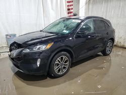 Salvage cars for sale at Central Square, NY auction: 2020 Ford Escape SEL