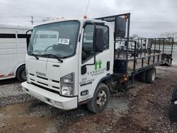 Salvage trucks for sale at Lebanon, TN auction: 2013 Isuzu NPR