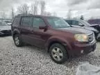 2011 Honda Pilot EXL