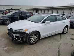 Salvage cars for sale at Louisville, KY auction: 2013 Ford Fusion SE