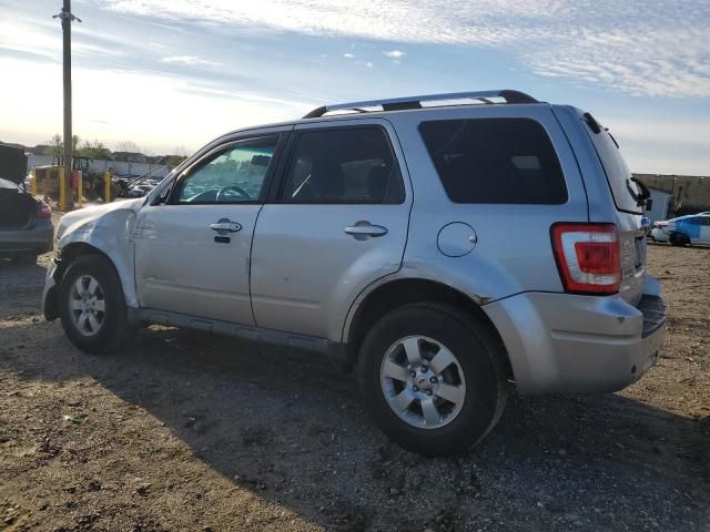 2011 Ford Escape Limited