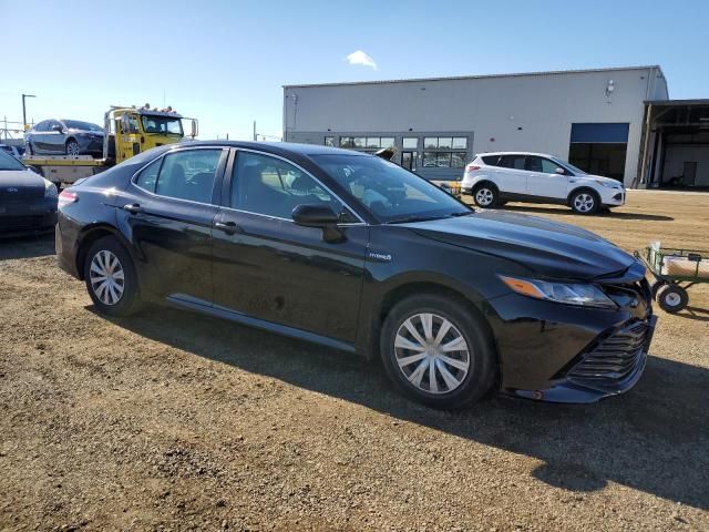 2019 Toyota Camry LE