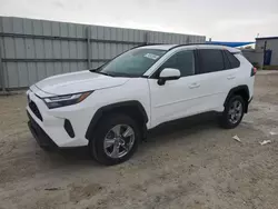 Salvage cars for sale at Arcadia, FL auction: 2022 Toyota Rav4 XLE