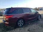 2021 Honda Odyssey Touring