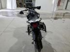 2018 Triumph Tiger 800XCX