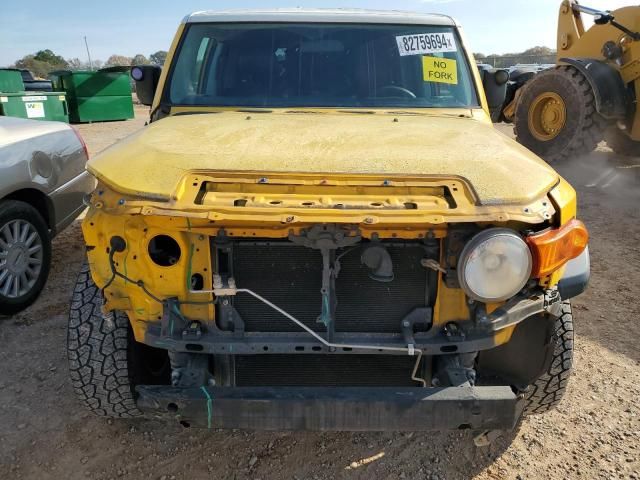 2007 Toyota FJ Cruiser