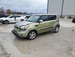 Salvage cars for sale at Lawrenceburg, KY auction: 2010 KIA Soul +