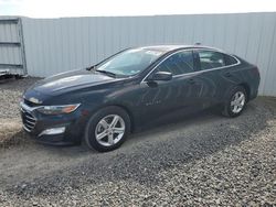 Salvage cars for sale at Riverview, FL auction: 2022 Chevrolet Malibu LT