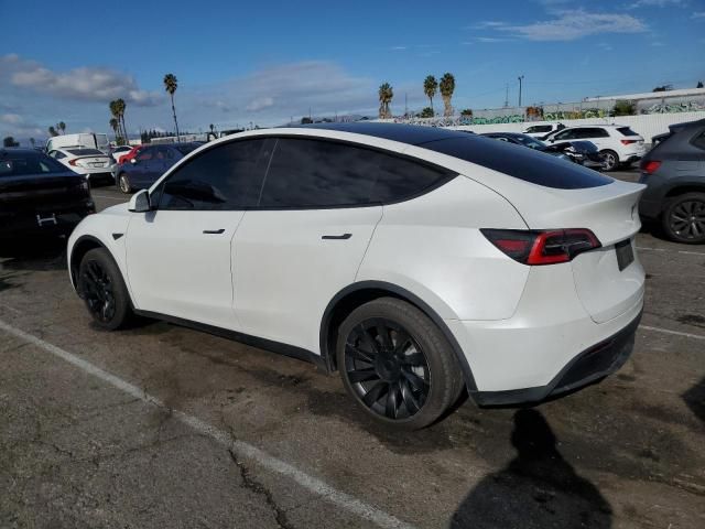 2020 Tesla Model Y