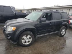 Salvage cars for sale at auction: 2011 Ford Escape XLT