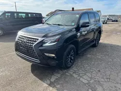 Compre carros salvage a la venta ahora en subasta: 2021 Lexus GX 460 Premium