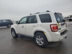 2010 Ford Escape Limited