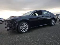 Salvage cars for sale at Antelope, CA auction: 2023 Toyota Camry LE