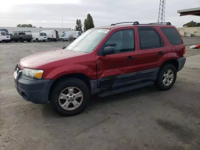 2005 Ford Escape XLT