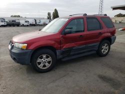 Ford salvage cars for sale: 2005 Ford Escape XLT