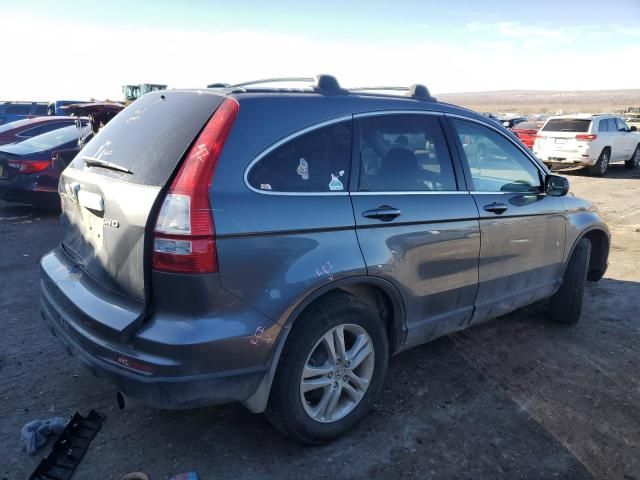 2010 Honda CR-V EXL