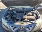 2009 Toyota Camry Hybrid