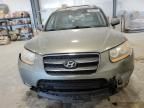 2009 Hyundai Santa FE SE