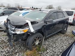 Ford Vehiculos salvage en venta: 2013 Ford Edge Limited