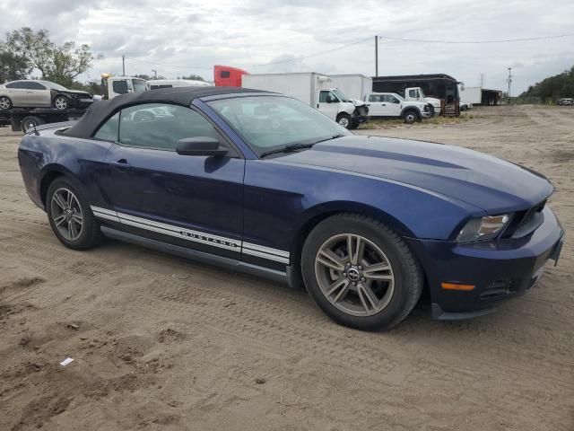 2010 Ford Mustang