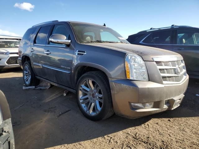 2014 Cadillac Escalade Platinum