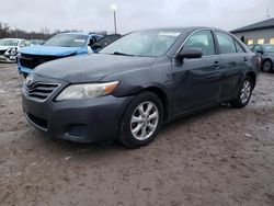 Toyota Camry Base salvage cars for sale: 2011 Toyota Camry Base