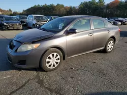 Toyota salvage cars for sale: 2009 Toyota Corolla Base