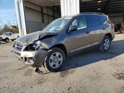 Salvage cars for sale at Pennsburg, PA auction: 2012 Toyota Rav4