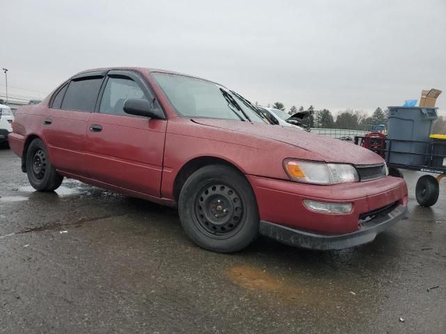 1996 Toyota Corolla