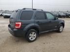 2008 Ford Escape HEV