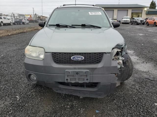 2005 Ford Escape XLT