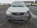 2005 Ford Escape XLT