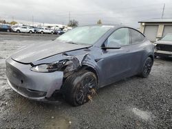 Salvage cars for sale at Eugene, OR auction: 2023 Tesla Model Y